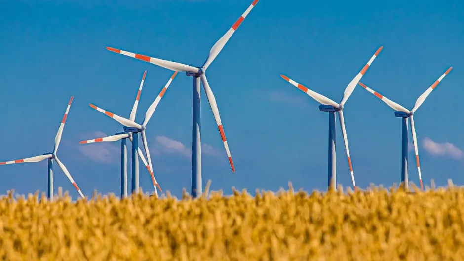 Windräder auf Feld